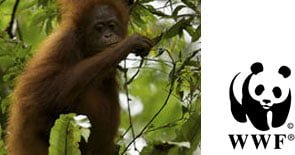 Sposorship-WWf