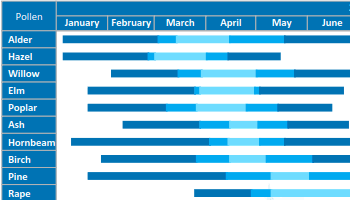 Gantt diagramm